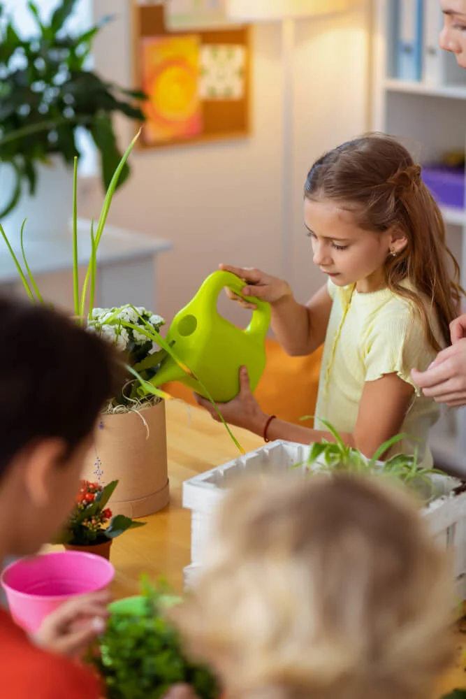 environment and sustainability